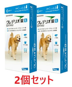 y2ZbgzyNfI XL pi22kgȏ45kgj 6×2zypiz [m~E}_j쏜] (C)