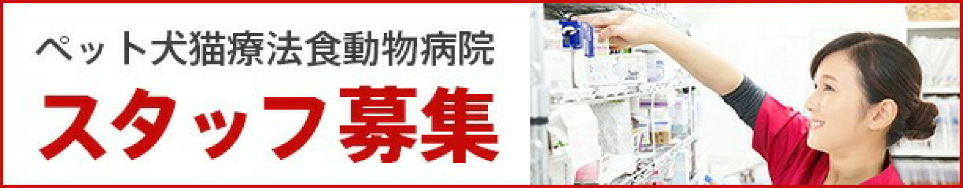 スタッフ募集