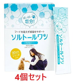 【4箱セット】【ソルトールワン (10g×60包入) ×4箱】【犬用排塩ゼリー】【日本全薬工業】(ソルトール ワン)【新発売】 (発)