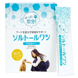 【ソルトールワン (10g×60包入) ×1箱】【犬用排塩ゼリー】【日本全薬工業】(ソルトール ワン)【新発売】 (発)