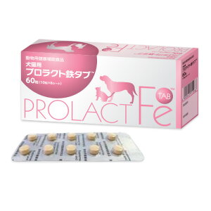 yvNgS^u (60) ×1zyLzyzytzvNg S ^u (C5)