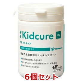 【6個セット】【PE キドキュア 60g ×6個】【猫用】【P（リン）吸着】【ペティエンス】【腎臓】(発)