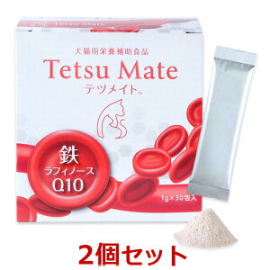 y2ZbgzyecCg (1g×30) ×2zyLzy֓`B(ꏜ)zy{SHƁz ()