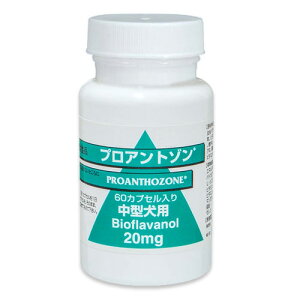 yyzyvAg] 20mg 60JvZ ×1zi^jyzyk`B(ꏜ)z (C10)P
