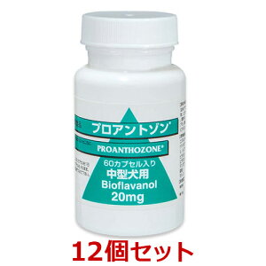 yyzy12ZbgzyvAg] 20mg 60JvZ ×12zi^jyz ()