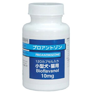 yyzyvAg] 10mg(120JvZ)×1zy^ELpzyz(vAg]10mg)yk`B(ꏜ)z (C1)P