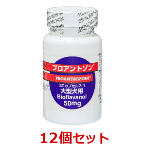 yyzy12Zbg (P[Xł͂)zyvAg] 50mgi30JvZj×12z^p@yz ()