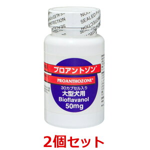 yyzy2ZbgzyvAg] 50mgi30JvZj×2z^p@yzyk`B(ꏜ)z (C)P