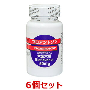 yyzy6ZbgzyvAg] 50mgi30JvZj×6z^p@yz (C)