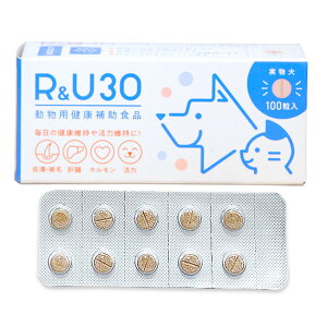 yyzyRU30 100×1zLyzyzwzy畆z (C9)