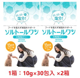 【2箱セット】【ソルトールワン (10g×30包入) ×2箱】【賞味期限：2028.03.31】【犬用排塩ゼリー】【日本全薬工業】【全国】*(発)