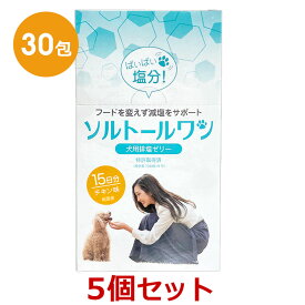 【あす楽】【5箱セット】【ソルトールワン (10g×30包入) ×5箱】【賞味期限：2028.03.31】【犬用排塩ゼリー】【日本全薬工業】【全国】*(発)