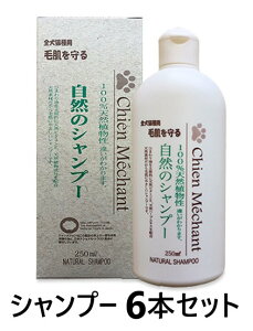 y6{ZbgzyVV R̃Vv[ 250mL ×6{zyLpzy畆zyVVzySz ()