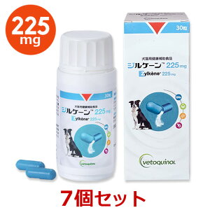 yyzy7ZbgzyWP[ 225mg (30)×7zyܖF2026.04.12zyLzZylkene(WP[)ySz (C)