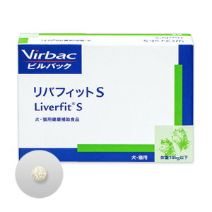 yyzyotBbgS@30 ×1zLE^yܖF2026N9zyrobNWpzVirbacy̑z (C5)