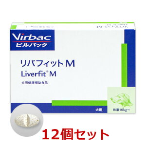 y12ZbgzyotBbgM 30×12zi10kgȏjyrobNWpzy̑z ()