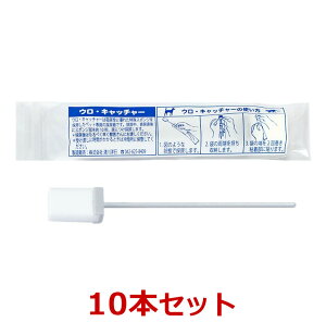 yyzy10{ZbgzyEELb`[ (̔AʁF1.6cc)×10{zyLzyqIŊȕւȍ̔AzyÐmsz(ELb`[) (C)