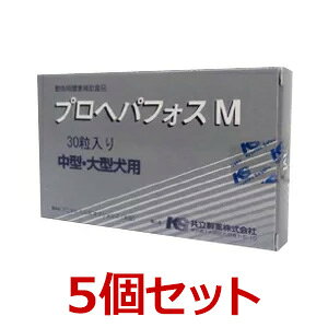 yyzy5ZbgzyvwptHXM 30 ×5zi^E^jyzy̑z (C)