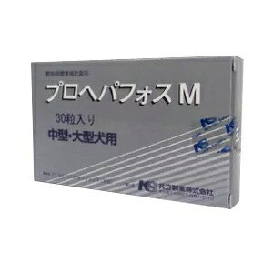 yyzyvwptHXM 30 ×1zi^E^jyzy̑z (C10)