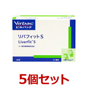 y5ZbgzyotBbgS@30 ×5zLE^yܖF2026N9zyrobNWpzVirbacy̑z (C)