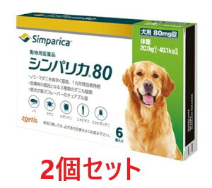 y2ZbgzyVpJ 80 pi20.1kg ȏ 40.1kgj 6×2zygpF2027.07.31zypiz [m~E}_j쏜] (C)