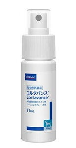 yyzyR^oX 31mL p ×1zygpF2026N731zyk`BzypizOpt玿z [畆aÖ] (C6)