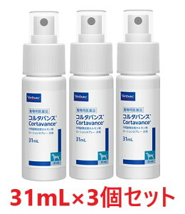 yyzy3ZbgzyR^oX 31mL p ×3zygpF2026N731zypizOpt玿z [畆aÖ]ySz (C)