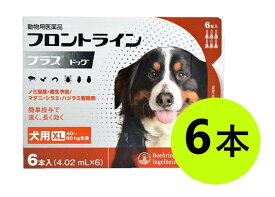 【フロントラインプラス ドッグ XL（40〜60kg未満） 6本入×1箱】(フロントライン プラス 犬用 XL)【動物用医薬品】 [ノミ・マダニ駆除薬]【全国】 (C4)