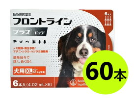 【10箱セット】【フロントラインプラス ドッグ XL（40〜60kg未満） 6本入×10箱】(フロントライン プラス 犬用 XL)【動物用医薬品】 [ノミ・マダニ駆除薬]【全国】 (発)