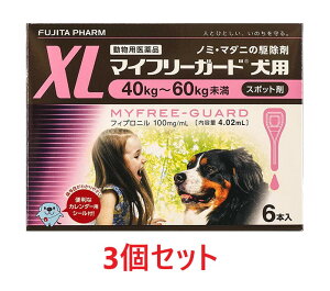 yyzy3Zbg (18{)zy}Ct[K[h pXL (40`60kg) 4.02ml×6{ ×3zyv18{zypiz [m~E}_j쏜]ySz ()