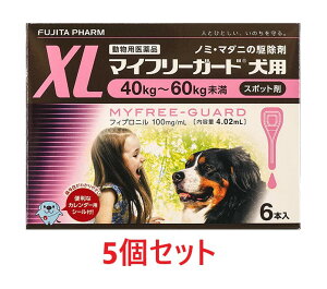 yyzy5Zbg (30{)zy}Ct[K[h pXL (40`60kg) 4.02ml×6{ ×5zyv30{zypiz [m~E}_j쏜]ySz ()