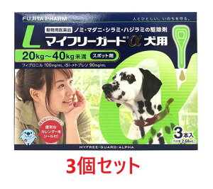 yyzy3Zbg (9{)zy}Ct[K[h pLi20`40kgj 3{ ×3zyv9{zypiz [m~E}_j쏜](}Ct[K[h p L)ySz (C)