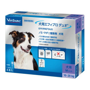 wp GtBv fI MTCYi1.34mL×4{j×1xypiz [m~E}_j쏜]@(C)