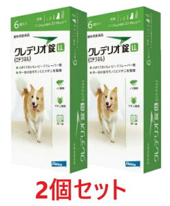 y2ZbgzyNfI LL pi11kgȏ22kgj 6×2zypiz [m~E}_j쏜] (C)