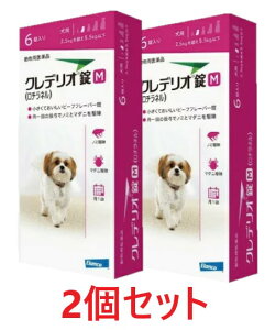 yyzy2ZbgzyNfI M pi2.5kgȏ5.5kgj 6×2zypiz [m~E}_j쏜] (C)