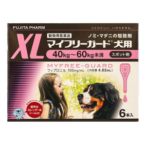 yyzw}Ct[K[h pXL (40`60kg) 4.02ml×6{xypiz [m~E}_j쏜]ySz (C2)