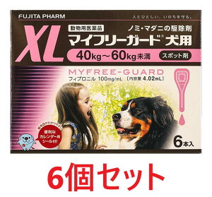 yyzy6Zbg (36{)zy}Ct[K[h pXL (40`60kg) 4.02ml×6{ ×6zyv36{zypiz [m~E}_j쏜]ySz ()