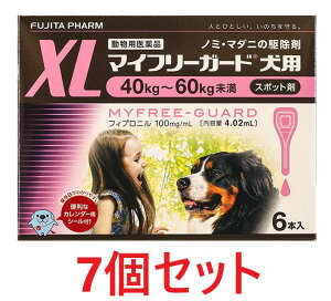 yyzy7Zbg (42{)zy}Ct[K[h pXL (40`60kg) 4.02ml×6{ ×7zyv42{zypiz [m~E}_j쏜]ySz ()