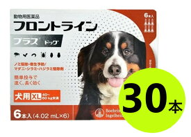 【5箱セット】【フロントラインプラス ドッグ XL（40〜60kg未満） 6本入×5箱】(フロントライン プラス 犬用 XL)【動物用医薬品】 [ノミ・マダニ駆除薬]【全国】 (発)