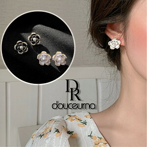  sAX t[`[t p[ t[ fB[XsAX zCg ubN fB[X ANZT[ ԕ  AM[ Ή Ă΂ l i 傫 t  v[