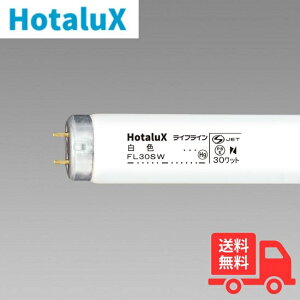 y25{Zbgzz^NXiNEC) FL30SW O[X^[^` 30W F ǌu y@lz