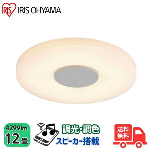 ACXI[} CEA-2112DLSP LEDV[OCg 12  F Xs[J[ Bluetooth CEA2112DLSP yz