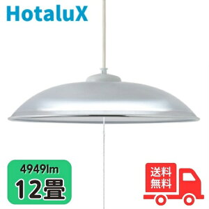 z^NX(NEC) HCDD1253-X LEDy_gCg 12  ͂ ݂ N[Z[h LED铔 5Nۏ HCDD1253Xyz
