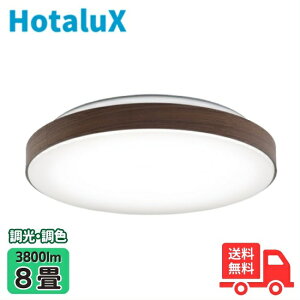 z^NX(NEC) HLDC08333SG LEDV[OCg 8 Fx {@񂽂񗯎^C}[ ؖڒ[@rK[uEFyz