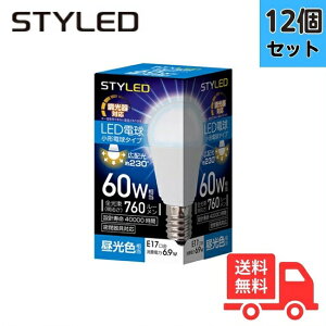 y12ZbgzSTYLED X^Ch LEDd 60W F E17 Lz Ή Ή HA6D17D1yz