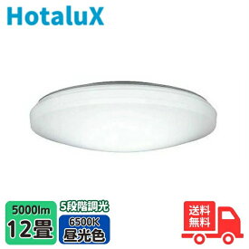 ホタルクス(旧NEC) HLDZ12258 LEDシーリングライト 12畳 調光 昼光色 スリープタイマー 防虫機能 洋風シーリング【送料無料】