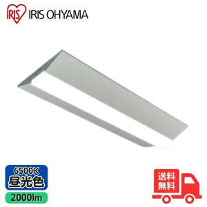 �A�C���X�I�[���} LX3-170-19D-CL20W LED�x�[�X���C�g 20�` �t�x�m�` 230mm�� Hf16�`×1�����o�͌^���� �񒲌� �����F�y���������z