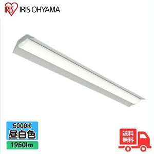 ACXI[} LX3-170-19N-RTR40 LXCNX }t^ 񒲌 40` F x[XƖ gt^ 2000lm^Cv FLR40`×1 ߓd^Cv  yz