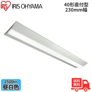 �A�C���X�I�[���} LX3-190-25N-CL40W LED�x�[�X���C�g ���t�^ 40�` ��230mm �����F 2500lm �񒲌� �y���������z