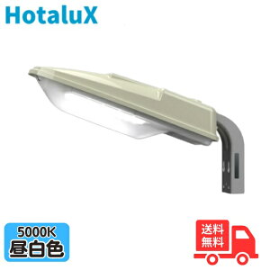 z^NX(NEC) LED hƓ MWD10003SW/N-1 F _Ŋt hƃCg hJ^(Op) 06434775 yz